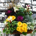 和田周平ブログ