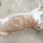 せきぐちゆき オフィシャルブログ -由紀帳-