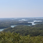 しない・させない・させられない