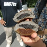 『黒ゴマあんぱん』の画像