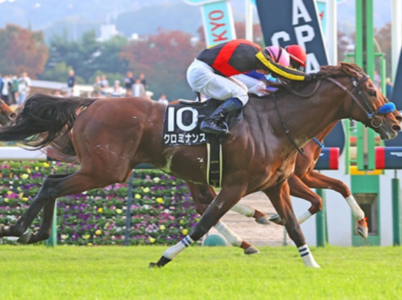 【競馬予想】第59回ステイヤーズステークス(GⅡ) /2025