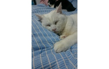 �إȡ��ޤ��ޤޤǤ��꤬�Ȥ��٤β���