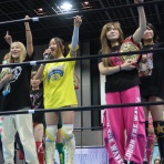 プロレスのミカタ