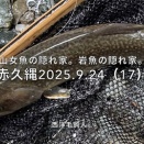 【フライフィッシング】ワイルド化した岩魚と対峙する！？