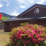 skivaca速報