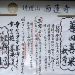 一言法話from西蓮寺inKyoto