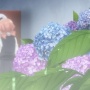 【衝撃画像】「母の日のアジサイの鉢植えを庭に植えてみました」　→　成長しすぎた結果、想像できない姿に変わり果ててしまうｗｗｗｗなにこれｗｗｗｗ