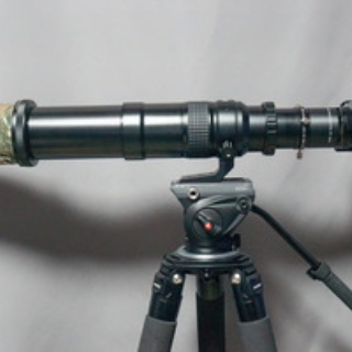 趣味の「写真、DIY、オーディオ」日記