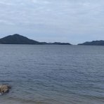 ESSA Blue