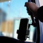 豆柴麦うた日記