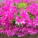 『ヘアサロンでシャンプーなしってあるの？あります！』の画像