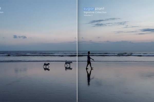 sugar plant official - discography
