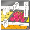 初めて食べる果物【ゆるていねいな暮らし】