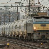 やっと　EF66-36！　初対面　= 土曜日の白ホキを牽く =