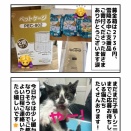 里親会、雪模様・・