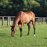 『抜歯後の様子』の画像