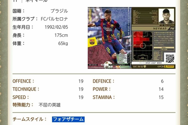 Wccfもブログも始めてみました ブラジル