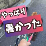 メルロコ一家の横須賀ストーリー