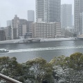 久しぶりの雪