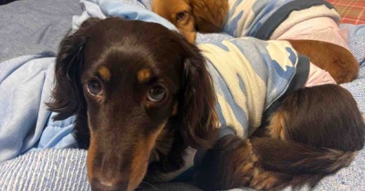 早よ寝てくれ！