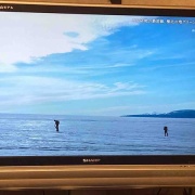 ����ξ�Ǯ��Φ����ɹ�ؼԡ�������