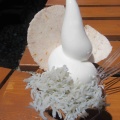 日間賀島のソフトクリーム食べ歩き　島しらすとひまかプリン