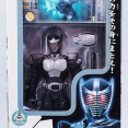 R&M EX 仮面ライダー龍騎 ブランクフォーム レビュー