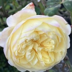 Four Seasons　四季の移ろい