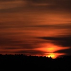 みちくさんぽ♬（人生道草散歩）