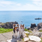 メロディ＆ミニーの写真館