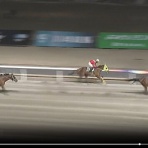 おきらくごくらく日記