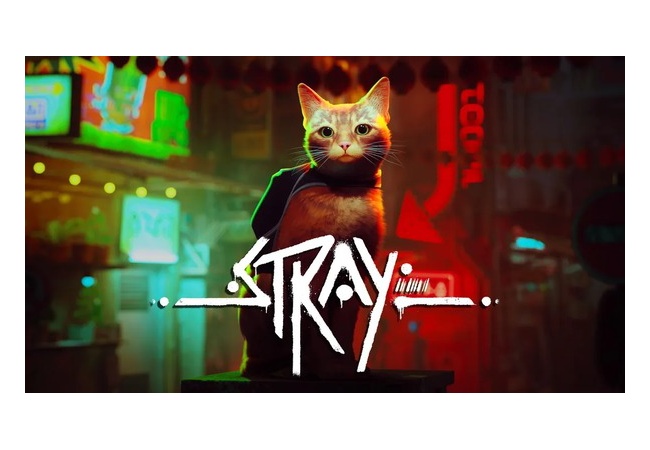 【Stray】面白い？評価感想まとめ