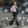 高岡早紀（52）夜の港区で見せた圧巻のすっぴん美肌　衰え知らずの美貌を支える「2時間の鬼トレーニング」とは