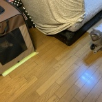 THAMES GARAGE staff blog