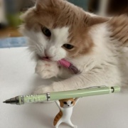 ペンを持ち上げるネコとペンを噛む猫