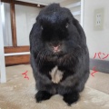 良し！