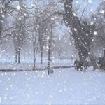 【悲報】雪、やばいｗｗｗｗｗｗｗ