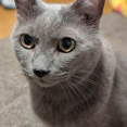 やっぱ