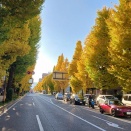 今年最後の山歩きで乗鞍高原へ