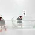 先輩からのアドバイス