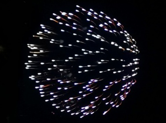 【大惨事】精子バンクのエリート精子が『異常遺伝子持ち』と判明 → 子供が病気で死にまくる