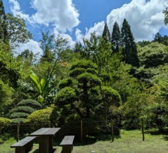 日の出山荘の夏