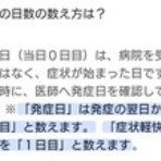 大きいマルチーズ☆ニノさん。