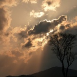 『マンベ鉄回顧録 2014年5月6日 合同誕生日パーティ』の画像