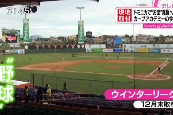カープアカデミーとドミニカを徹底取材 チェコ ソリアーノ ロサリオを生み出したアカデミーの先駆け カープ民放速報