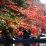 ��ʿ�����ꡪ�����й��եĥ����Τ��Τ餻�٤β���