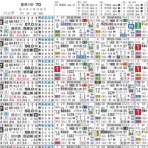 ハイブリッド競馬新聞