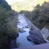 『【物部川でのアメゴ放流】これからどーぞよろしくです』の画像