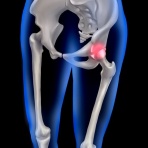 独女の気ままな隠居ライフ