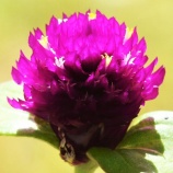 『老いの覚悟と生き方Ⅱ(5650回記念)(34)「80歳の壁・実践編(3)」』の画像